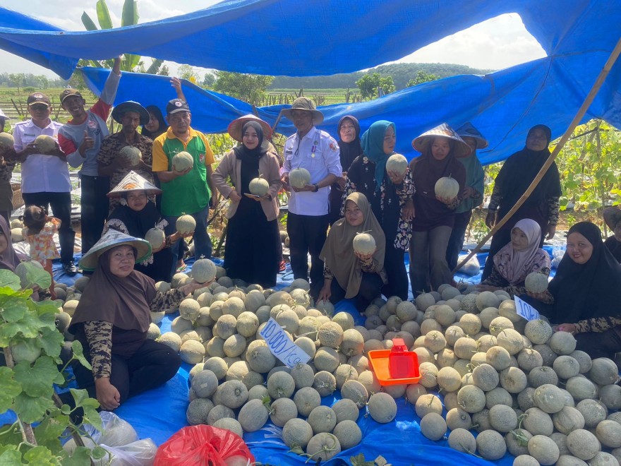 Kunjungan Kepalo Tiyuh Ke KWT Kebun Melon Margodadi Kecamatan Tumijajar